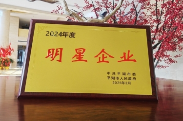 新春新景新氣象 | 景興紙業在平湖三干大會上喜摘榮譽！